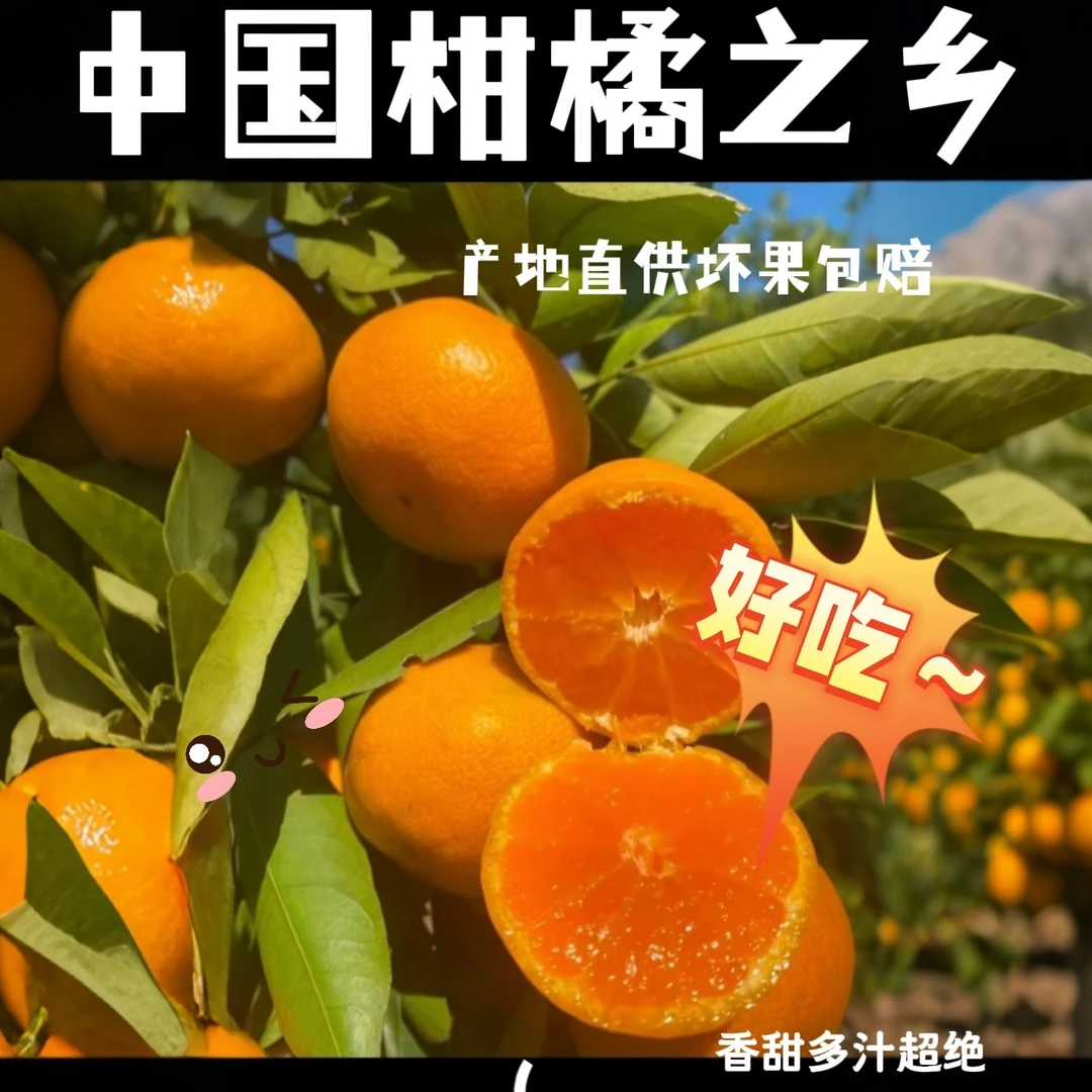石门蜜橘 自家果无农药种植现采现