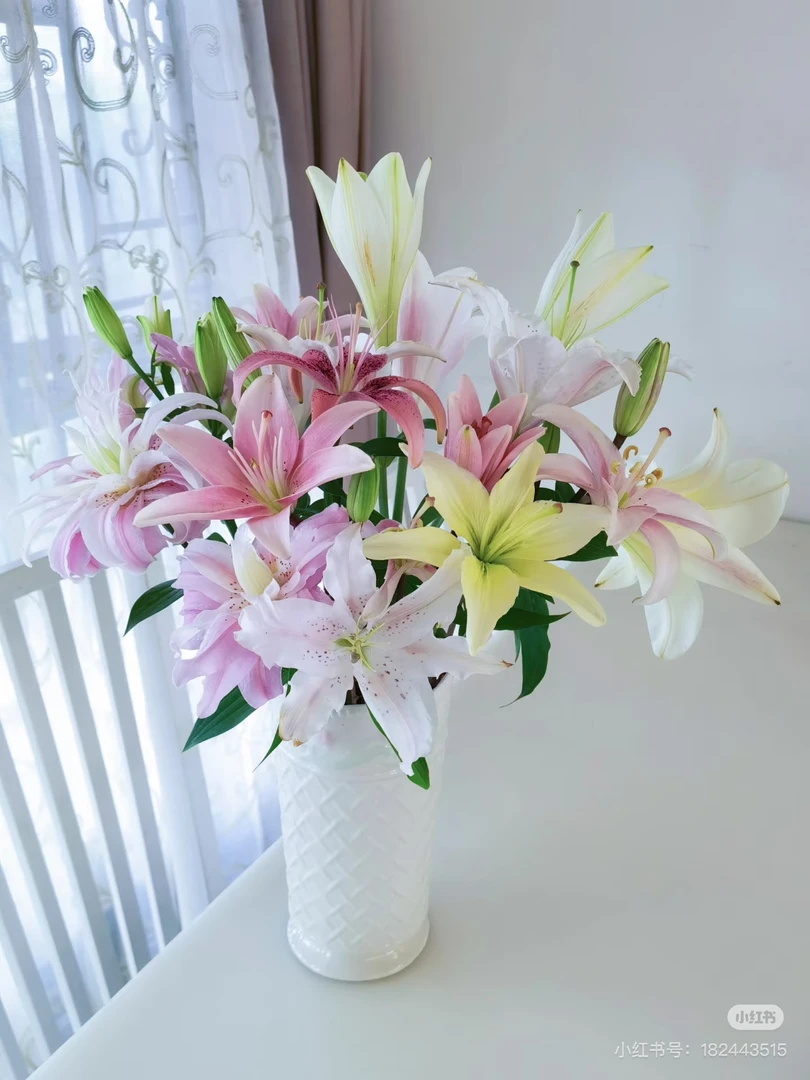 【新疆包邮】A级3枝6头黄天霸+3枝6头粉百合