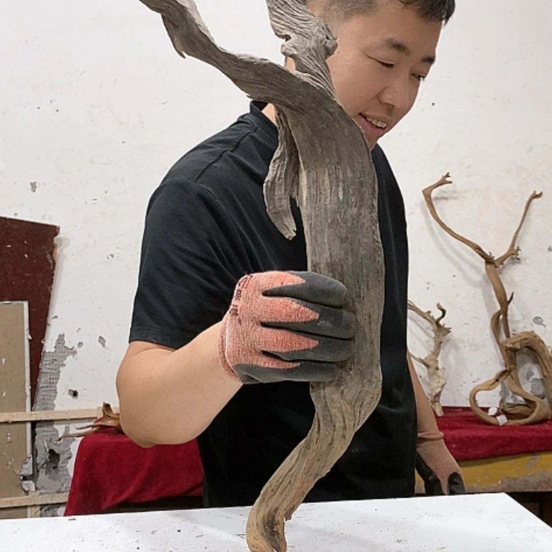 【闪购商品】柏木呆*王我们都是好孩子