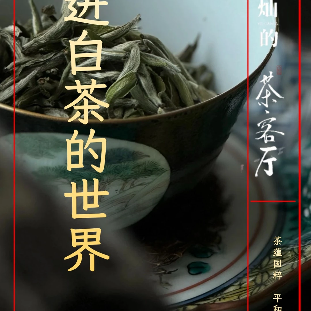 【灿友白茶专场】2019天山银针 20g