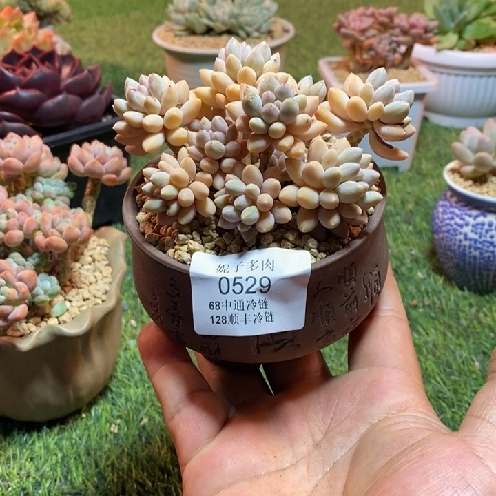 0529啊啊啊啊啊啊啊啊啊啊