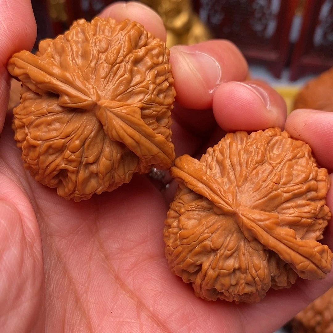 文玩核桃把件毕业全品白狮子40.8尺