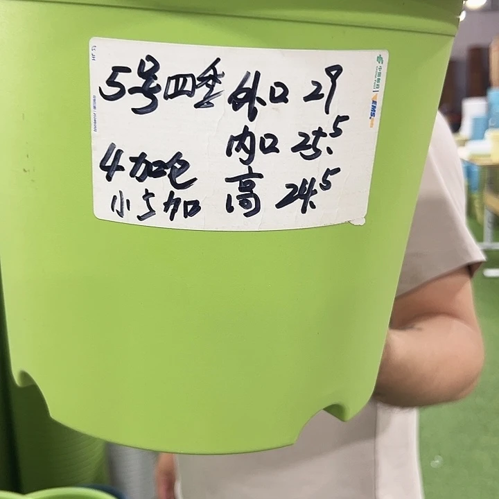 特价5号四季口29高24混色5个无托