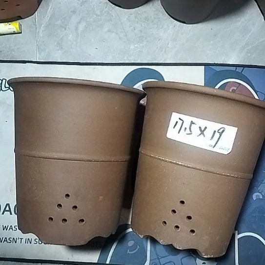 紫砂腰缠万贯两个