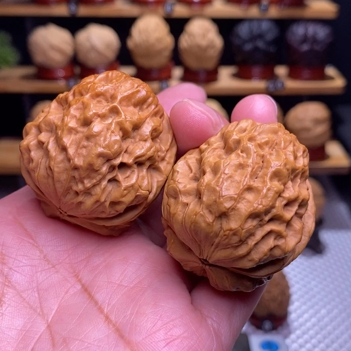 木质类云铁龙甲48号