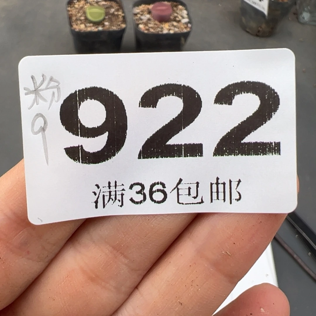 乐***册9.27好看的多肉脱土发货922