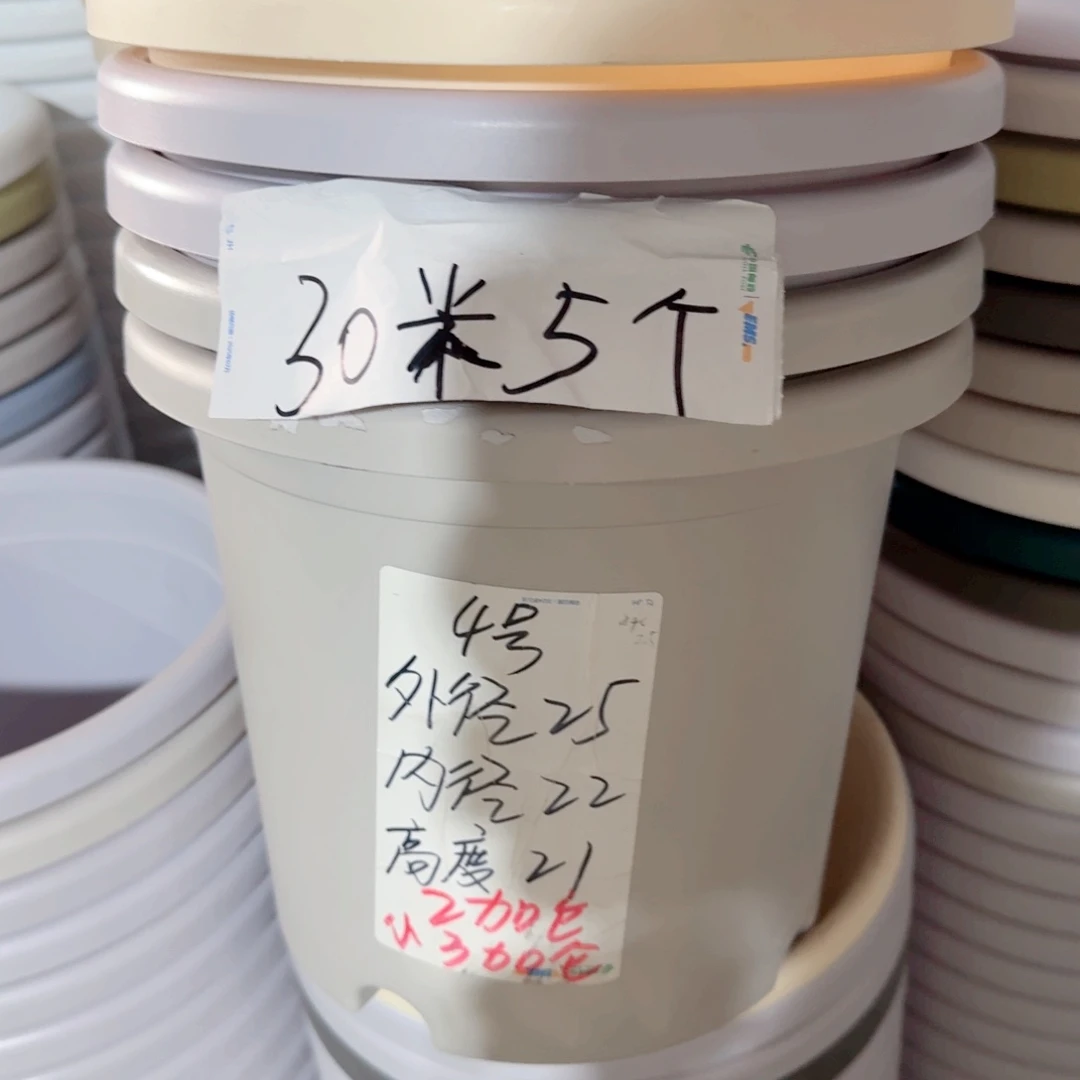 微瑕4#无拖米黄8个