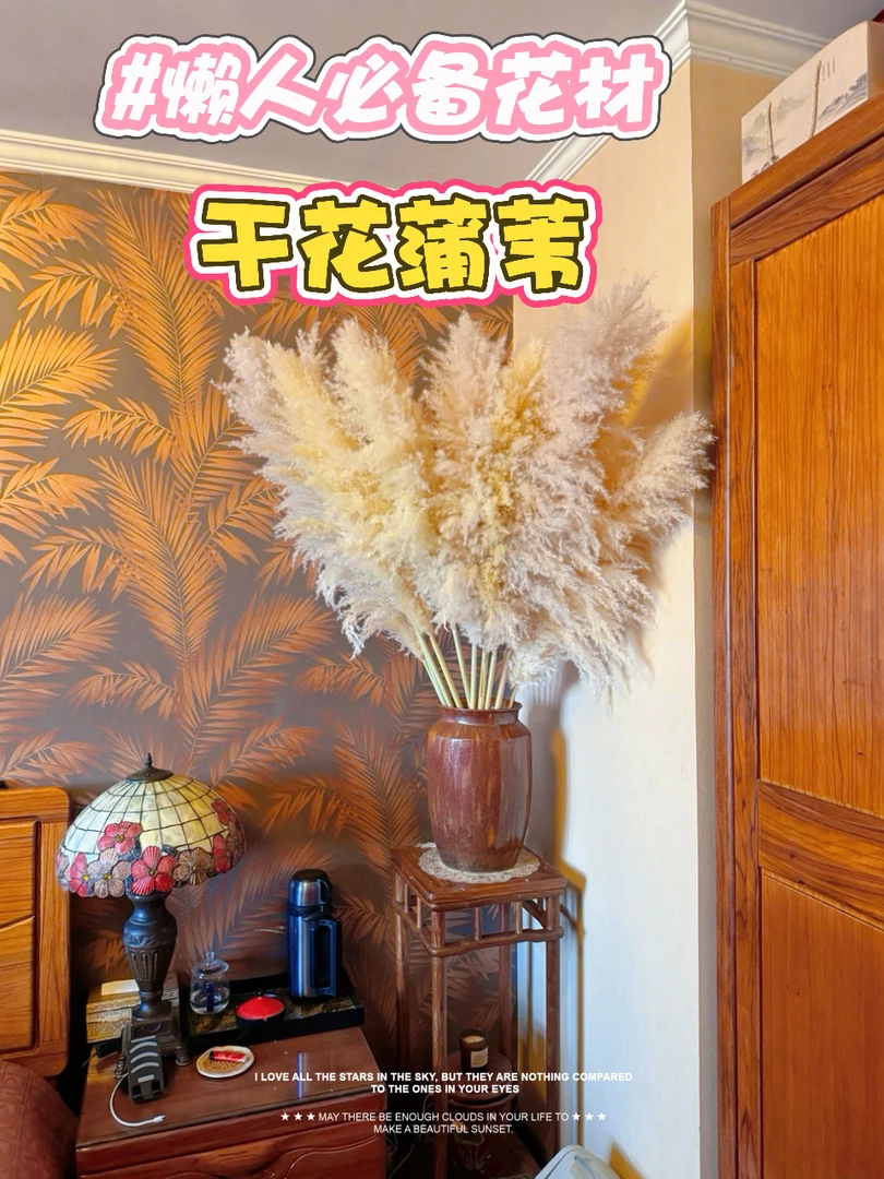 【干花蒲苇】天然颜色懒人必养周期鲜花居家装饰高级感满满