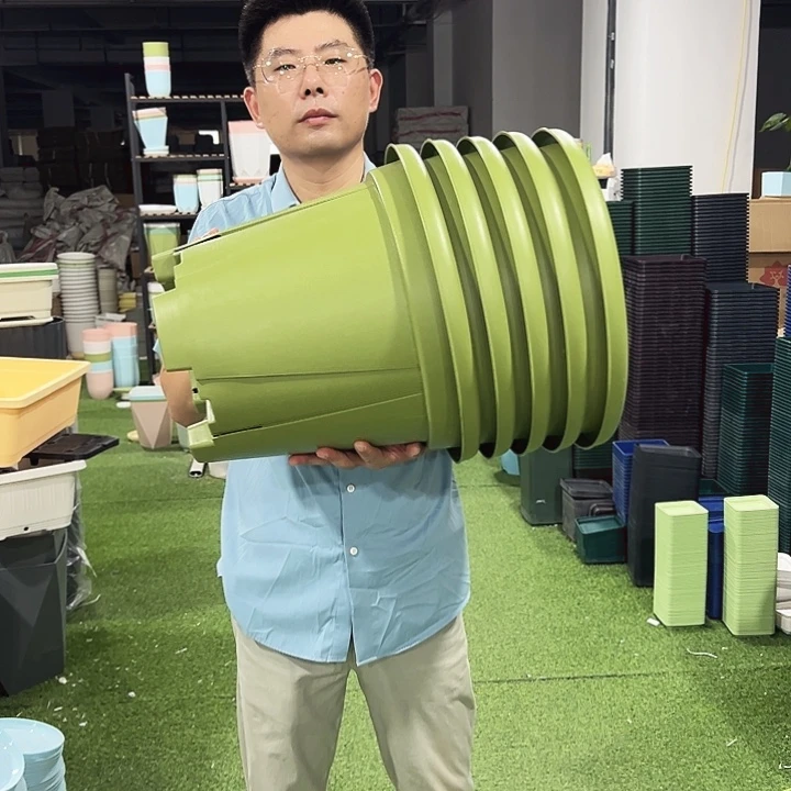 青山口40高34果绿5只无托