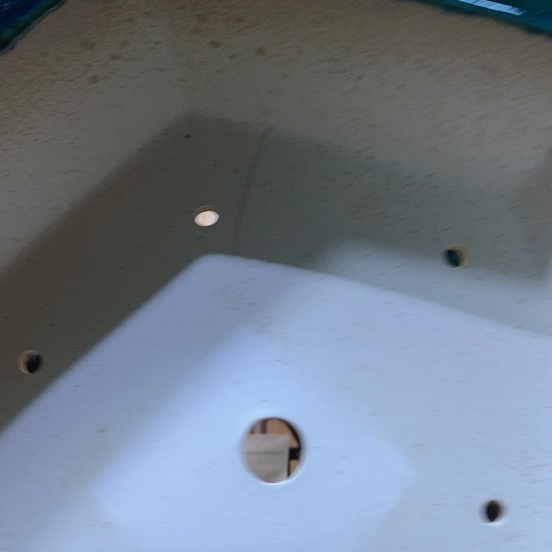 盆景微瑕顺丰包邮宜**景