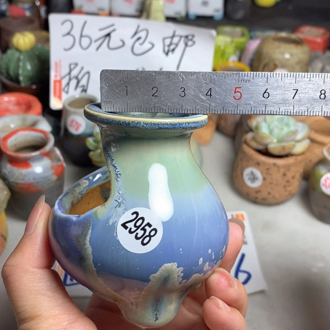 拍5送一个小礼物