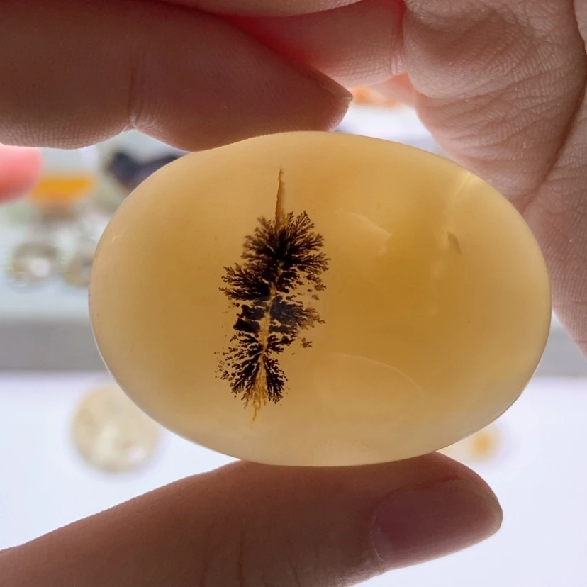 【闪购商品】玛瑙/玉髓颈饰未镶嵌