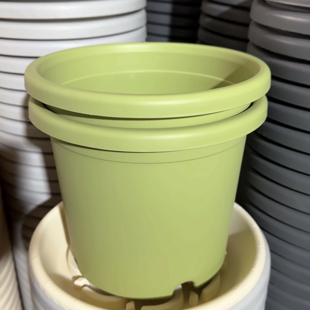 树脂四季3#无拖果绿10个