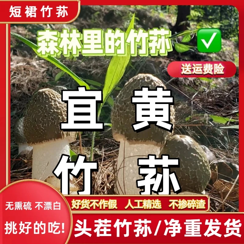 【露思推荐】露思同款竹荪干货未开裙嫩菇蕾短裙竹笙可煲汤可烫火锅
