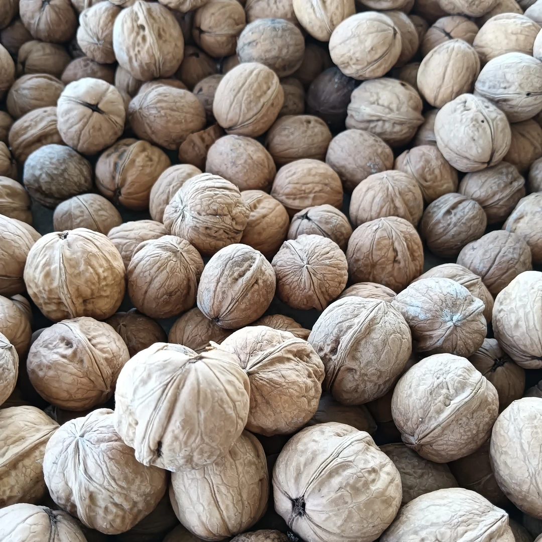 新疆阿克苏185纸皮核桃薄壳易剥果肉饱满头茬果