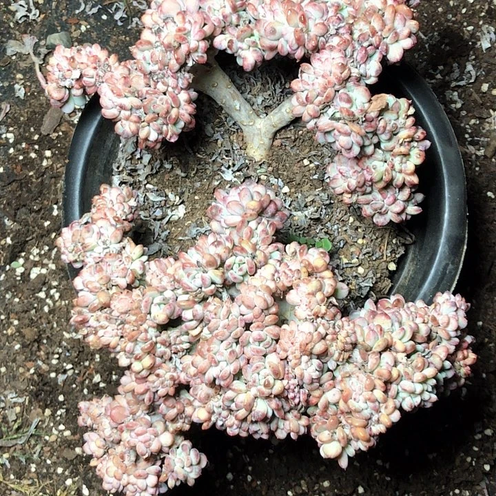 ?****18///////////////////