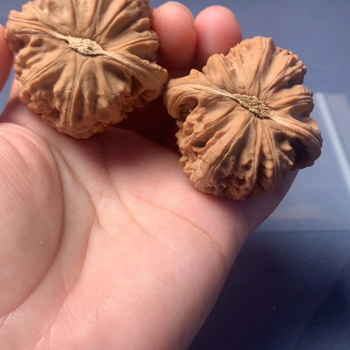 叮***g文玩核桃吊坠白狮子