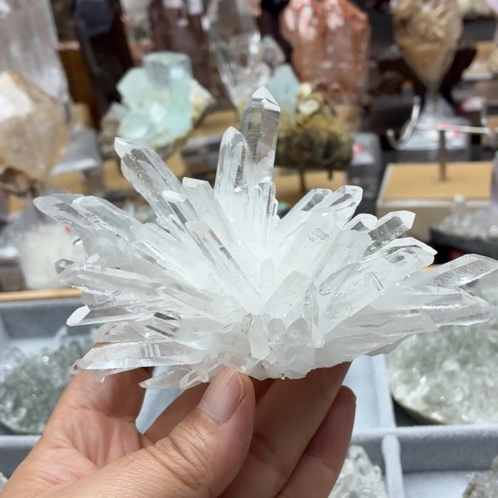 摆件水晶未镶嵌哥伦比亚利姆花