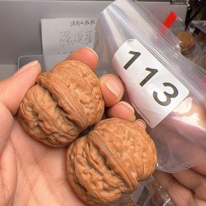 核桃44尺113号全品元宝