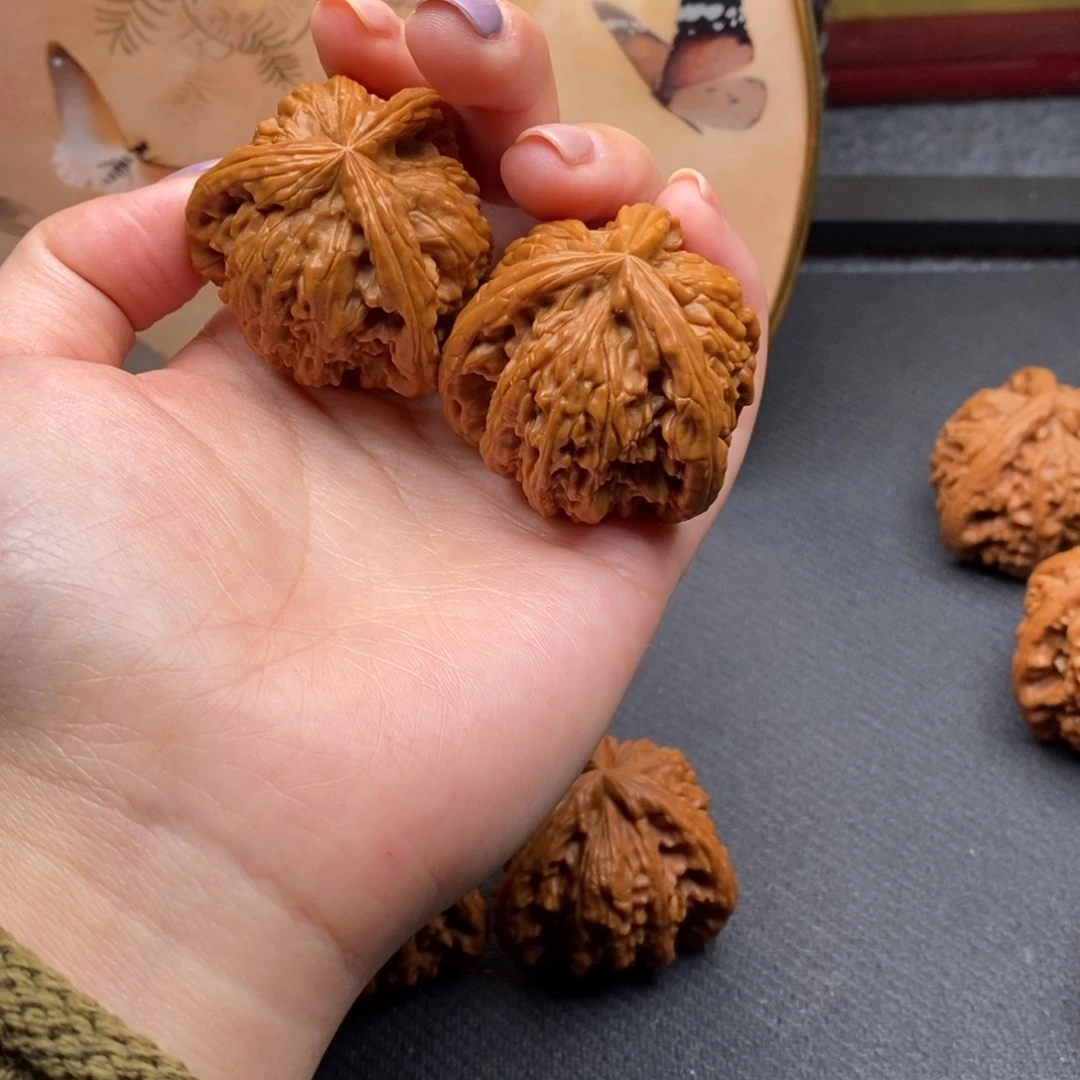 乘****白狮子11111111111