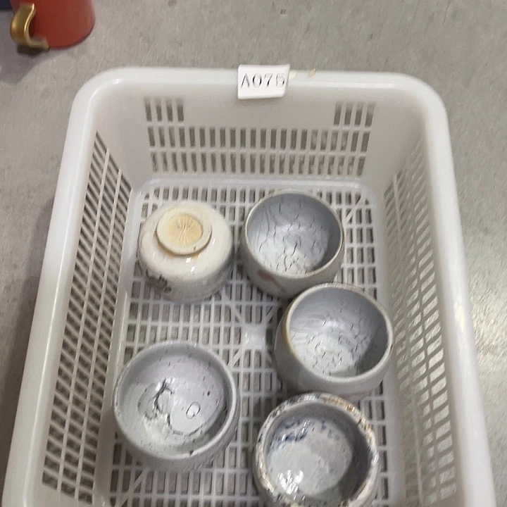 福利待遇多多哦哦哦选一只