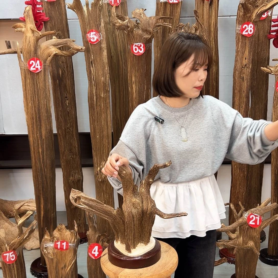 沉香摆件沉香摆件
