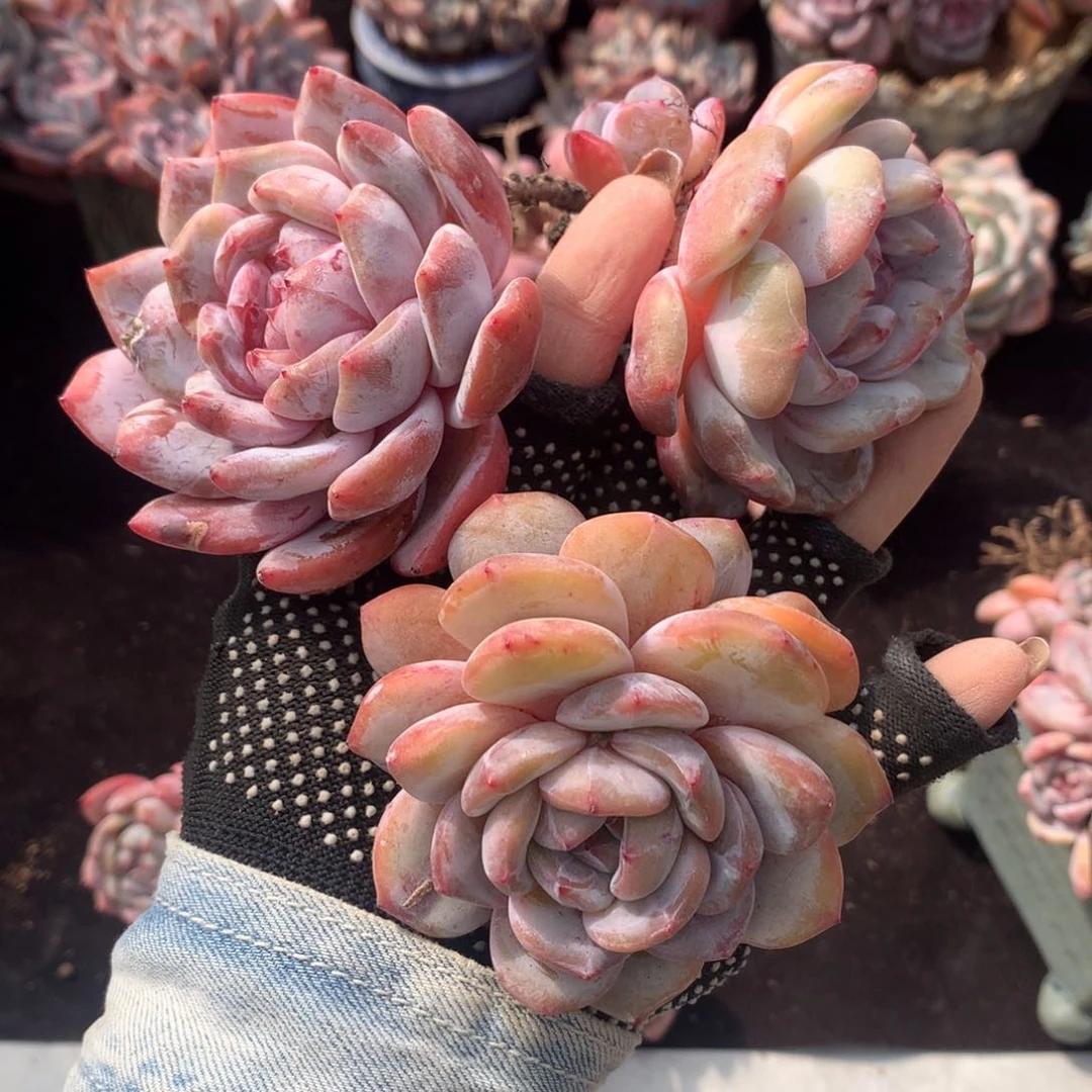 哈哈哈哈哈哈哈哈哈