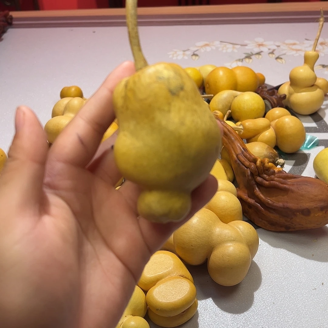 哈哈哈哈哈哈哈哈哈哈哈哈