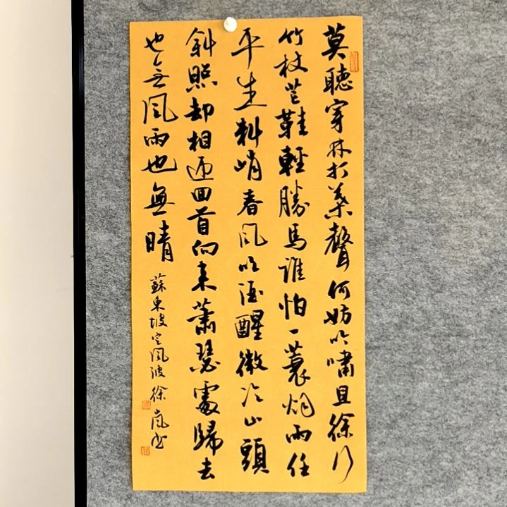 书法定风波四尺四开两平尺34*68厘米手写书法