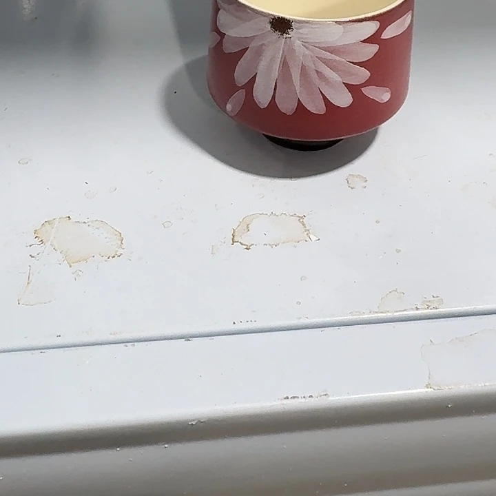 婆婆婆婆说兔兔兔兔头