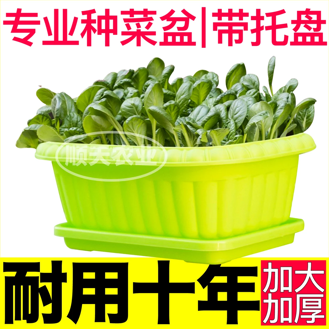 土培盆耐用十年阳台种菜盆带托盘环保塑料加厚室内外种植蔬菜盆