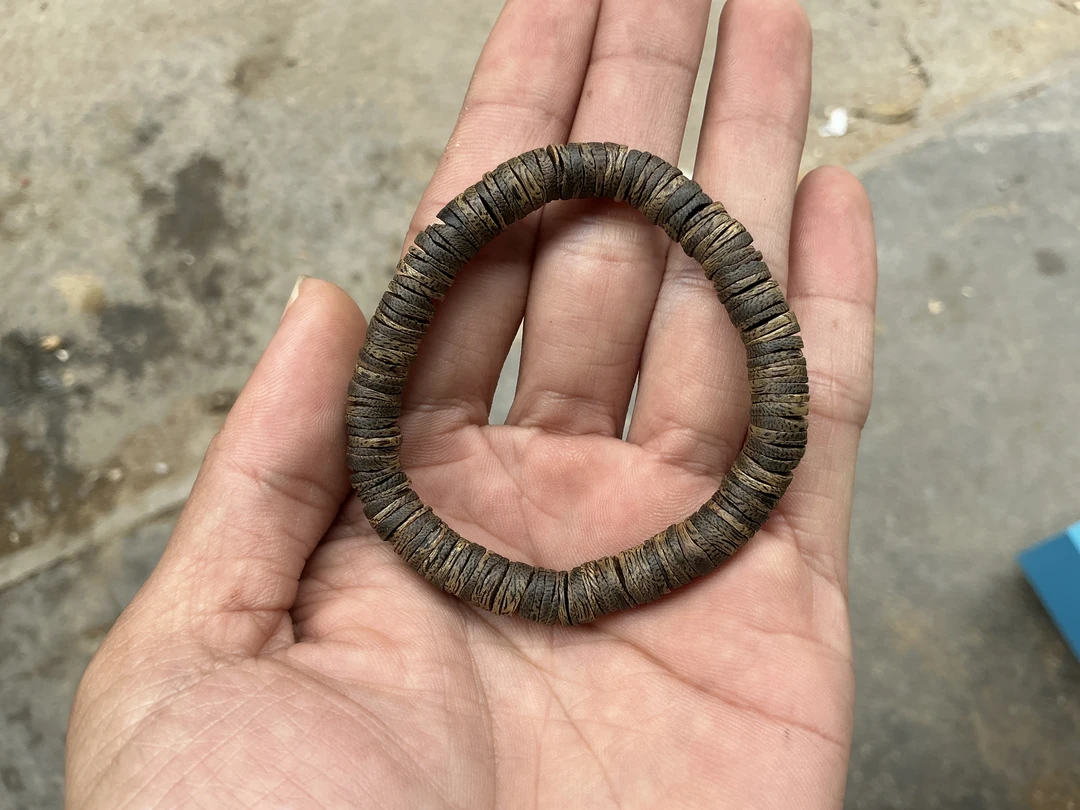 单圈片珠多样性发一