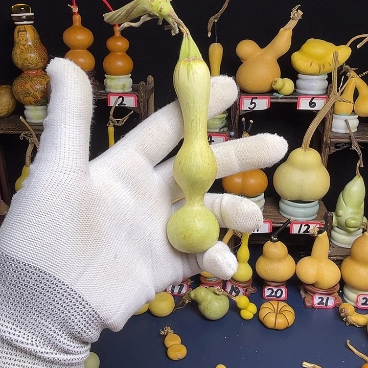 用***5爆头手把粗嘴八宝杆