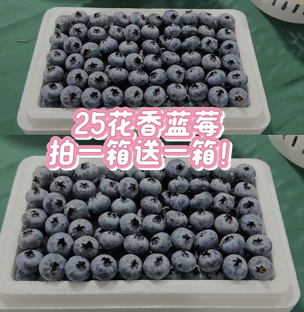 【拍1箱送1箱】云南抚仙湖【25号花香脆甜蓝莓-顺丰空运】香味浓