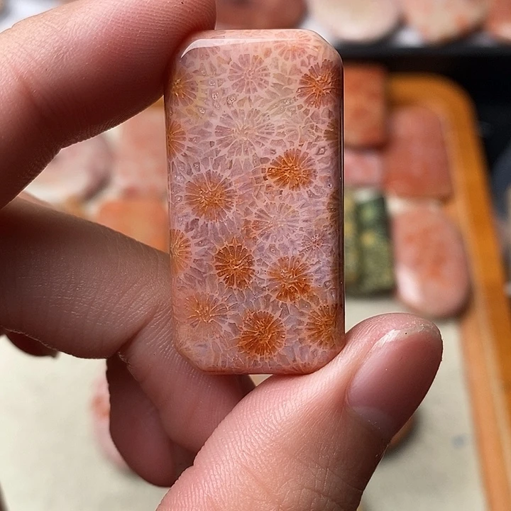 硅化玉颈饰未镶嵌t****w