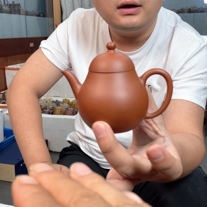 紫砂茶宠哈哈哈哈哈这个综艺节目真的