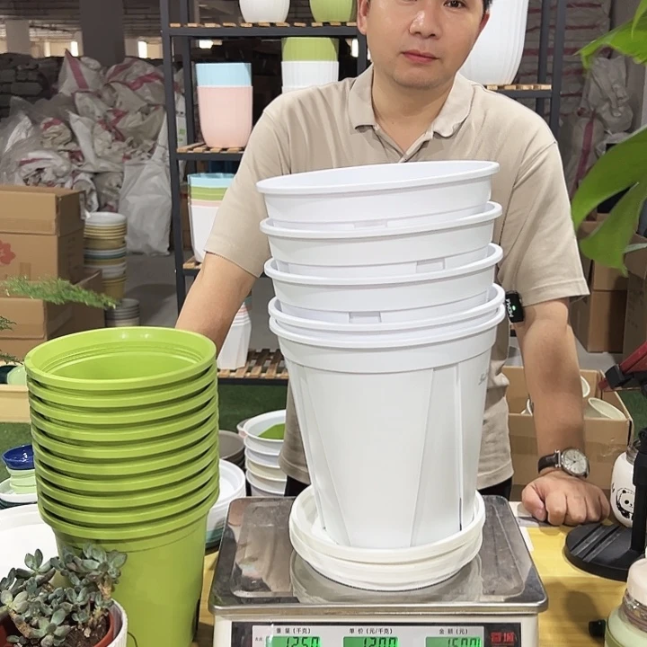 青山口24高24白色5个带托