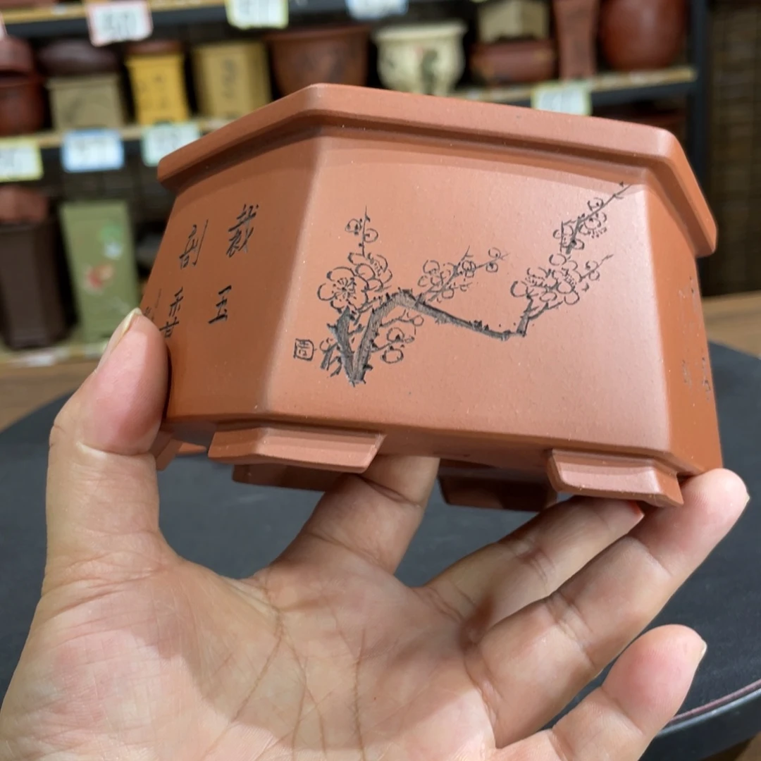 紫砂花盆紫砂花盆在这里