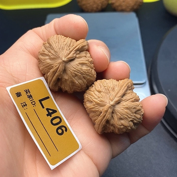 文玩核桃把件白狮3.3