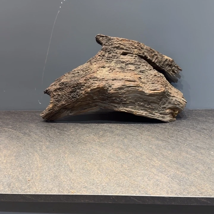 竹***愿柏木（崖柏）这样做也能有好处呀打游戏真的