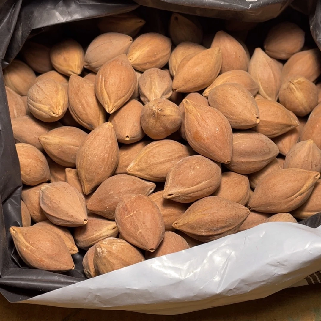 无***物橄榄核手串/手链不退不换qet