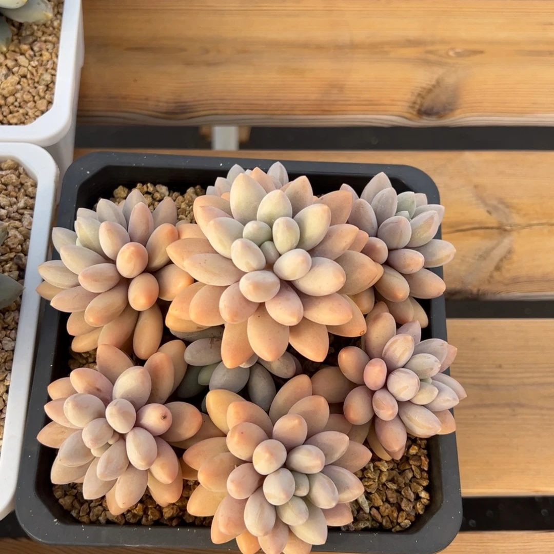 14111111111111111111111