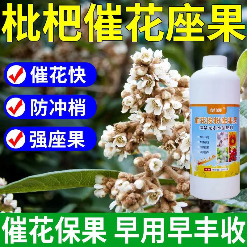枇杷催花授粉座果液防落素保花保果抗病增产强座果肥料保花催花素