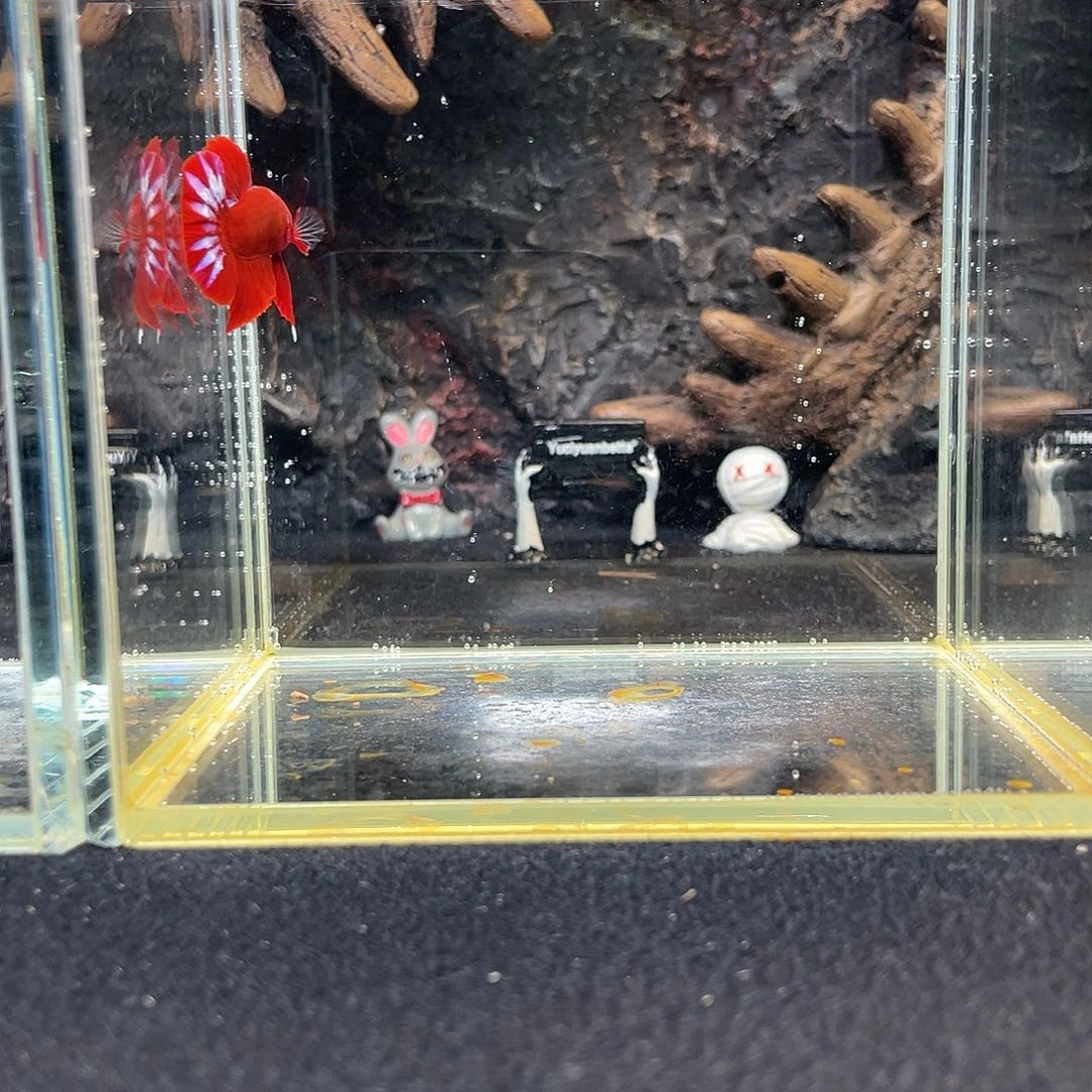 斗鱼九月二十四日竞价