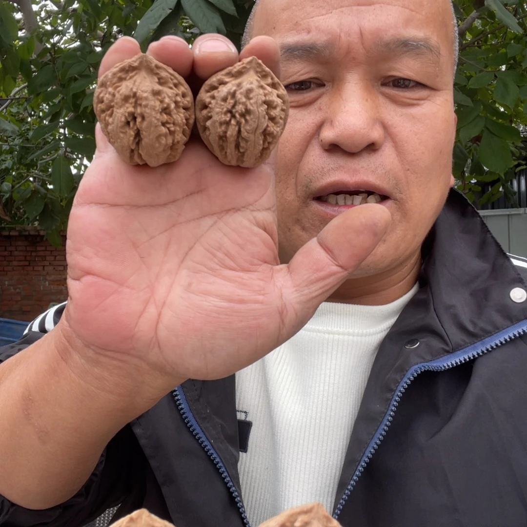 吊坠文玩核桃霸王龙40