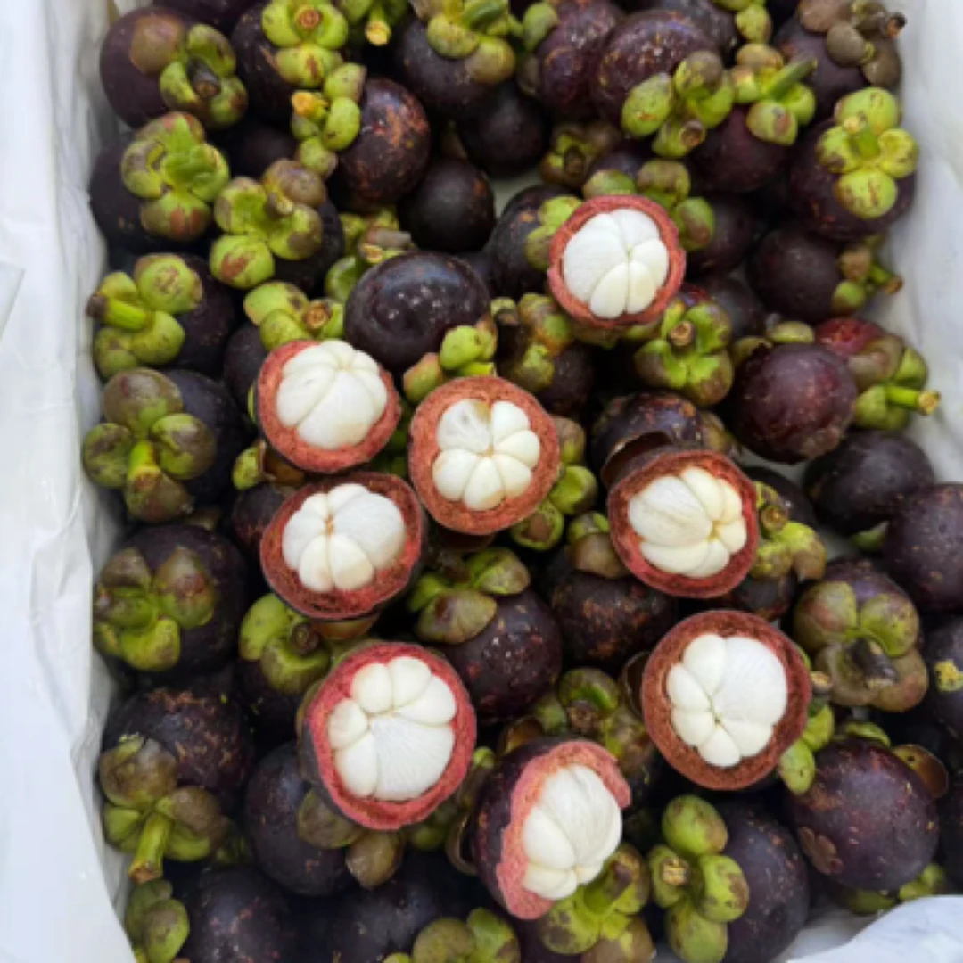 9.9/斤【2A小果】泰国新鲜山竹