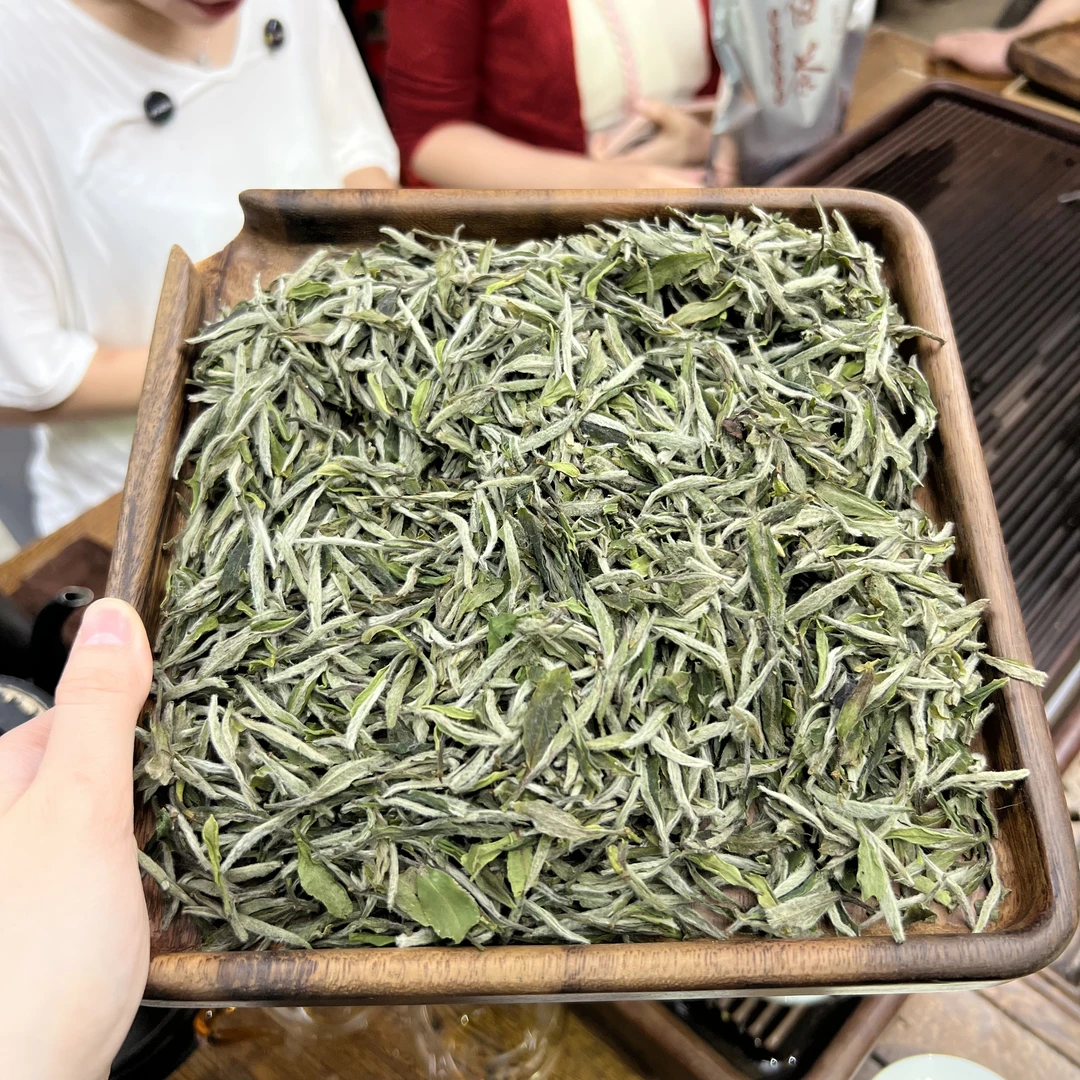 2025牡丹王 ① 小鹿收茶 福鼎白茶 5月30