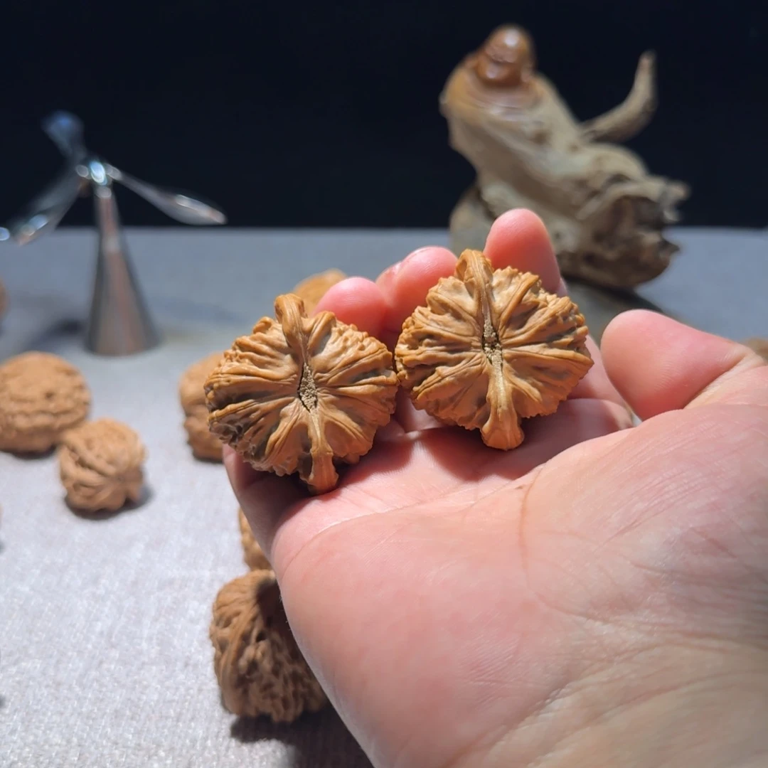 *****文玩核桃把件全品43白狮子