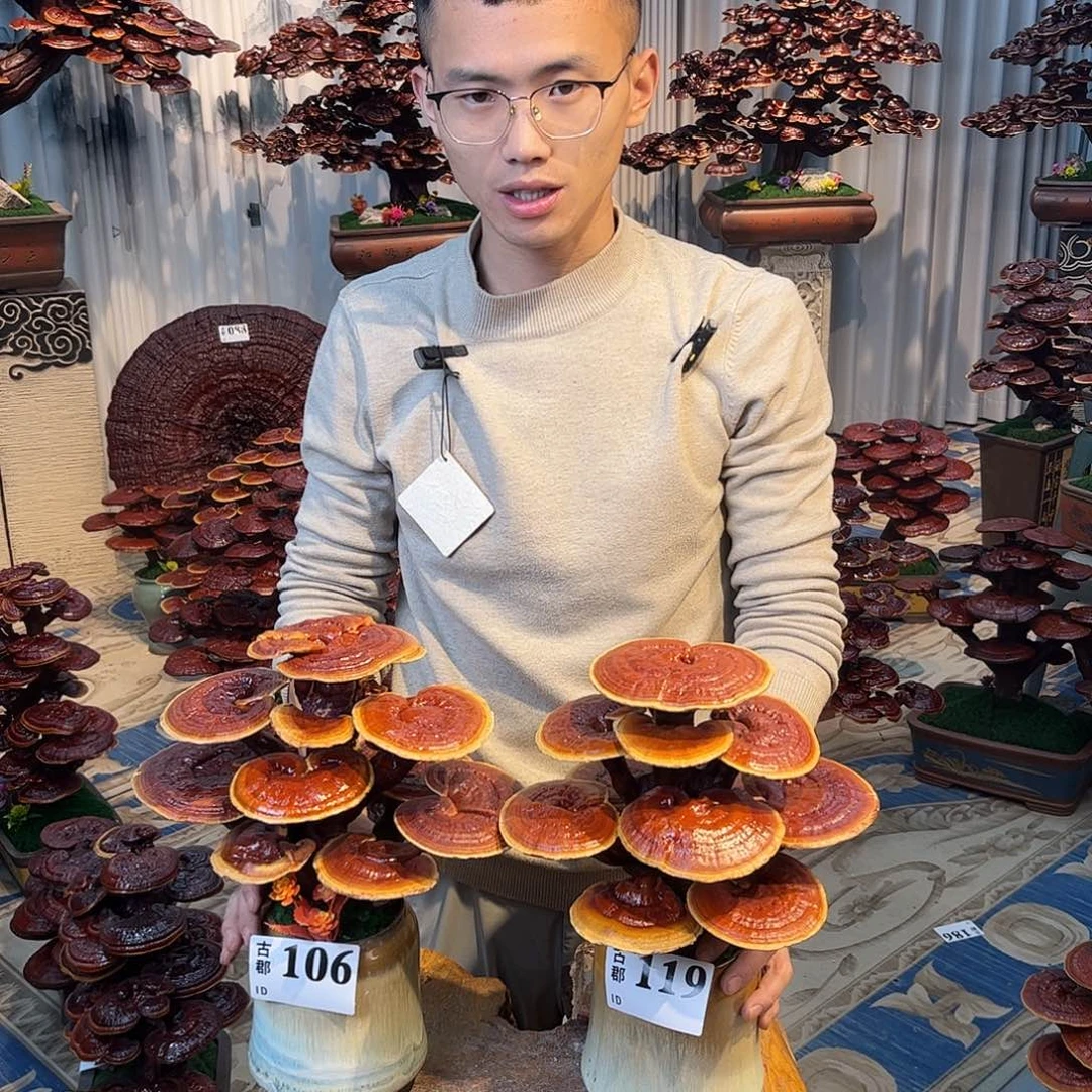 无花朵888888888889