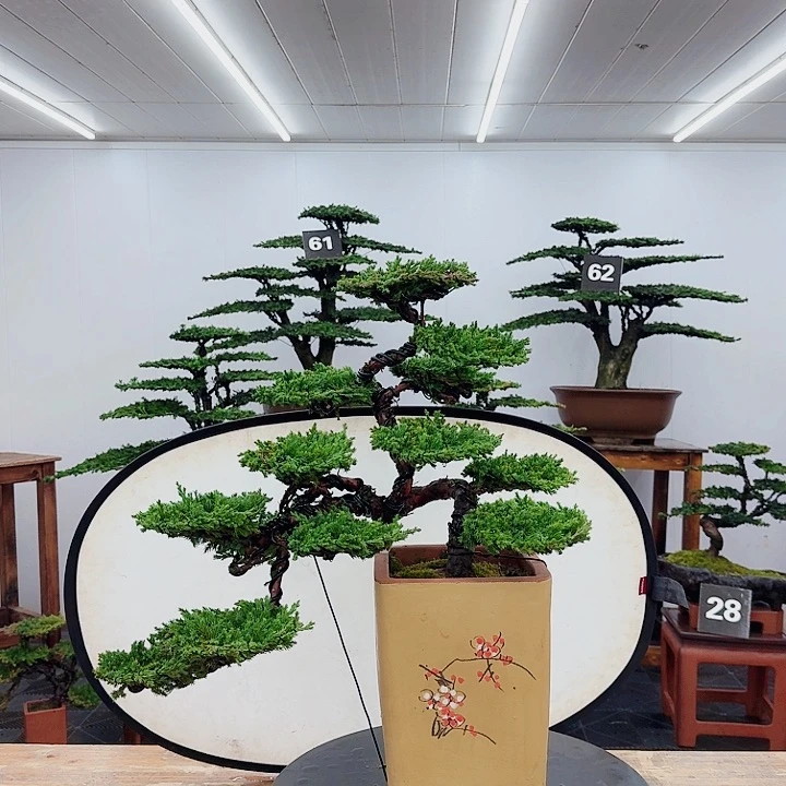 无花朵00000000000